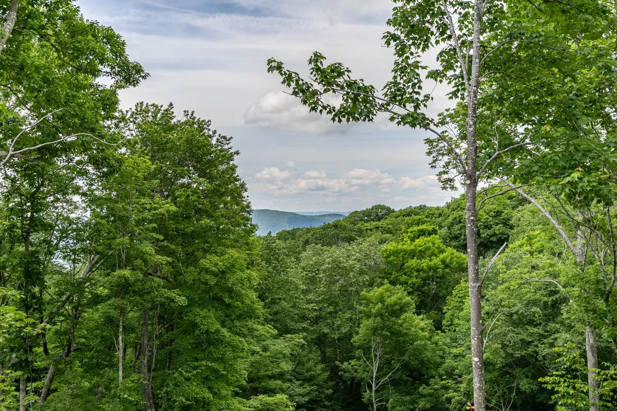 A sweeping view of green treetops leading to distant mountains under a cloudy sky, evoking the adventure and natural wonder found in this unique mountain community.
